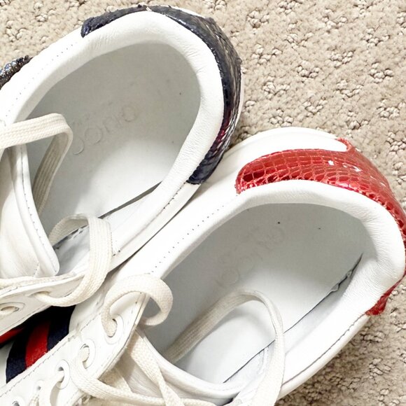 Gucci Ace Sneaker Snake Embroidered Authentic Size 8 - Picture 7 of 9